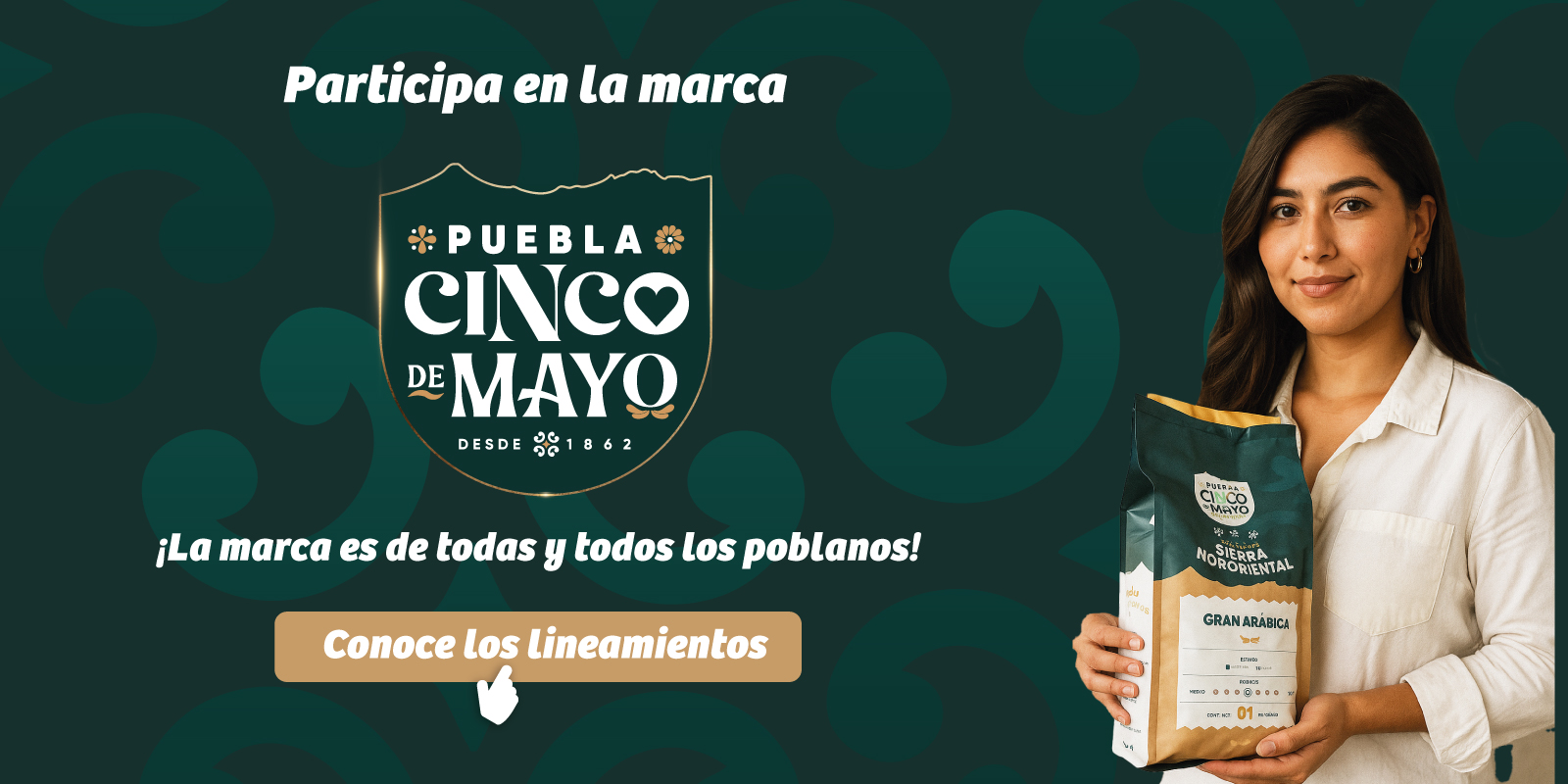 Lineamientos Marca Puebla